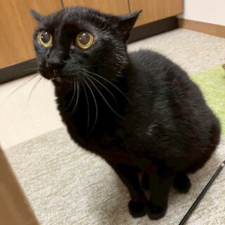 個性的、探検好きな『ののあ』ちゃん⭐︎噛みます⭐︎