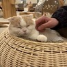 わかばやし⭐︎