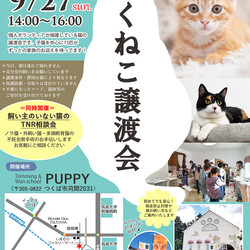 つくねこ譲渡会