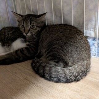 小柄な体でお外で頑張っていたあられちゃん