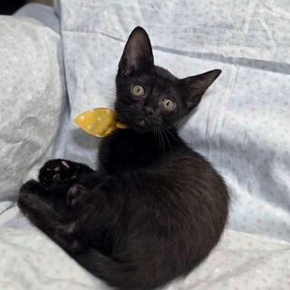 いつも愉快で楽しい☆ジャックくん