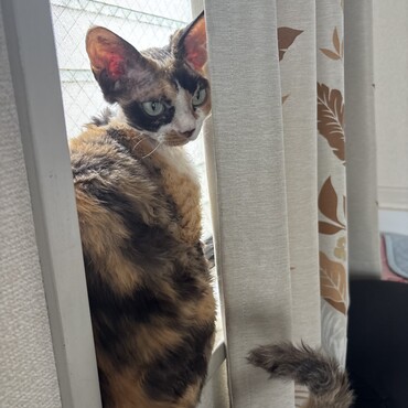 の写真