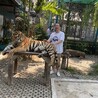 船越英二郎