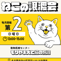 ◤ 11/8(日) 保護猫譲渡会@名古屋 ◢