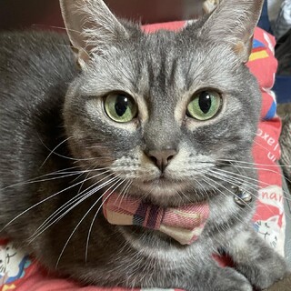ゆずちゃんです。
