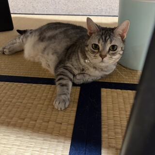 らいむちゃんです。