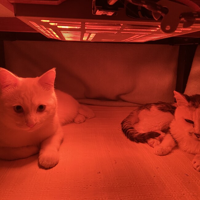 ももたふみのカバー写真