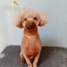 元気いっぱいで賢いおかかくん サムネイル4