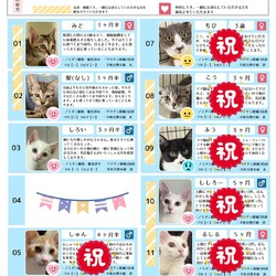 8月23日｛ラブとハッピー府中 譲渡会｝ご報告