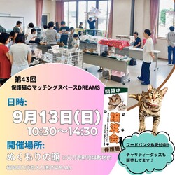 保護猫のマッチングスペースDreams大刀洗町
