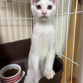 ぼく「なあに」です