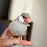 ちーちゃん