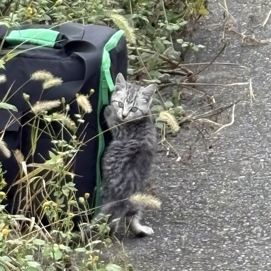 オスカーのカバー写真