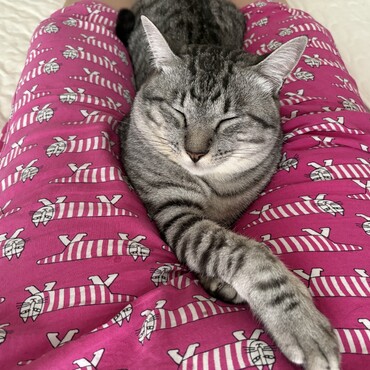 甘えん坊さん