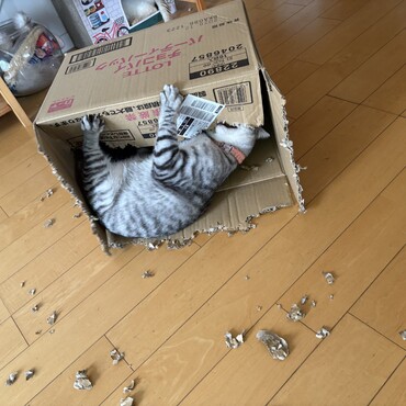 芸術活動中