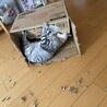 芸術活動中