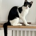 ベタベタの甘えんぼさん！