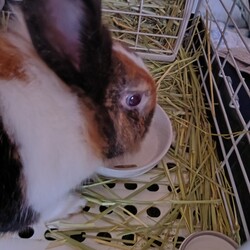 いつも食べてばかりですが
