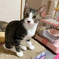 元気いっぱい甘えん坊の男の子