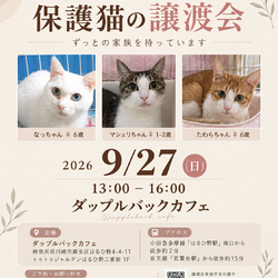 麻生区はるひ野にて保護猫譲渡会開催