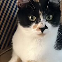 つむぎ