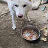 ヨシヨシ22