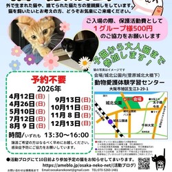 NPO法人おおさかねこネット 猫の譲渡会