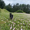 ぎずももも