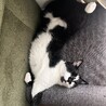 の写真