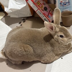 6年ありがとう