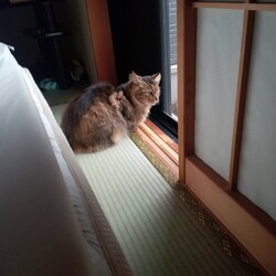 ２つの奇跡