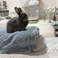 ねむ