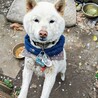 ヨシヨシ22