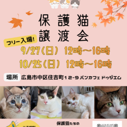 保護ねこ譲渡会&フリマ