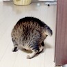 魅力的な目のキレイな女の子 サムネイル4