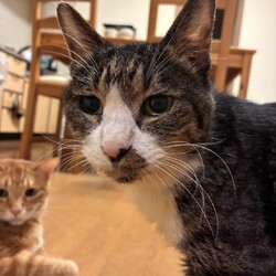 【もなか君 通院報告】
