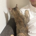 甘えん坊の女の子