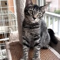 元気いっぱい甘えんぼ　レッドちゃん