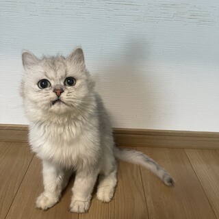 可愛いがってくださる方