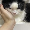 の写真