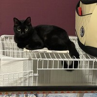 はるちゃん