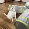 ブルーの瞳がチャームポイント サムネイル6