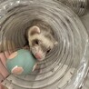 トンネルだいすき