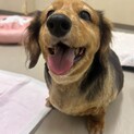 まさおくん