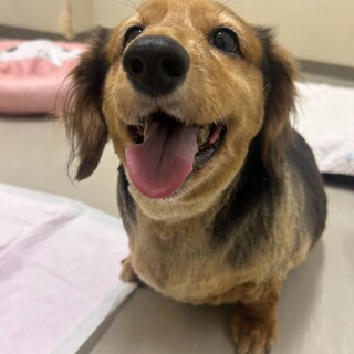 まさおくん