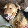 まさおくん サムネイル4