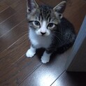 人も大人猫もへっちゃら⭐︎壮くん