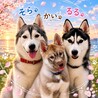そらるるかい