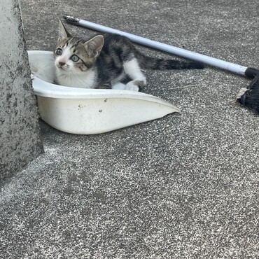 の写真