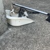 の写真